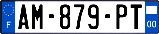 AM-879-PT