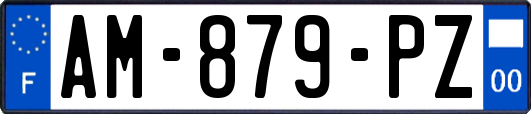 AM-879-PZ