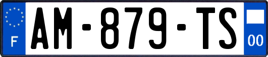 AM-879-TS