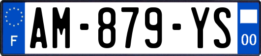 AM-879-YS