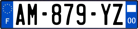 AM-879-YZ