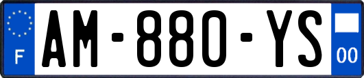 AM-880-YS