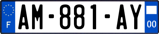 AM-881-AY