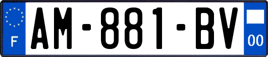AM-881-BV