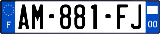 AM-881-FJ