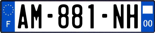 AM-881-NH