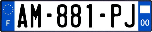 AM-881-PJ