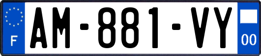 AM-881-VY