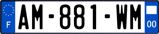 AM-881-WM