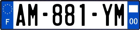 AM-881-YM