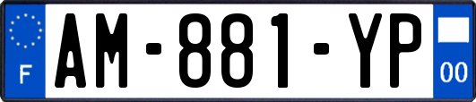 AM-881-YP