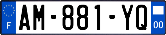 AM-881-YQ