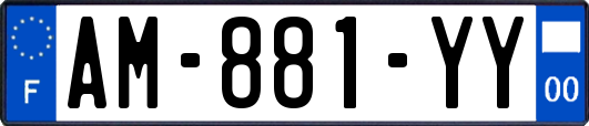 AM-881-YY