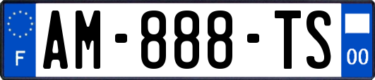 AM-888-TS