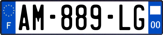 AM-889-LG