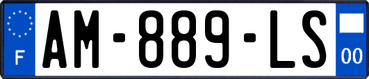 AM-889-LS