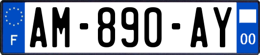 AM-890-AY