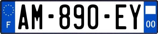 AM-890-EY