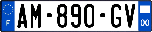 AM-890-GV