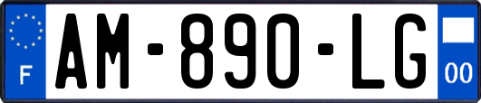 AM-890-LG