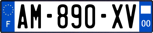 AM-890-XV