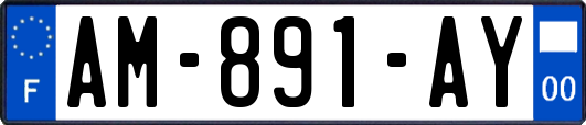 AM-891-AY