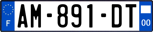 AM-891-DT
