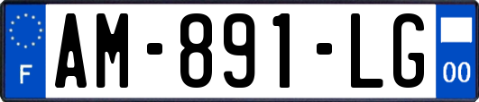 AM-891-LG