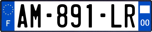 AM-891-LR