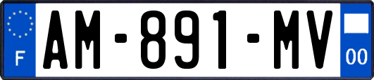 AM-891-MV