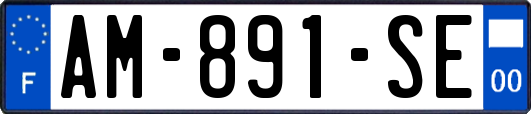 AM-891-SE