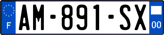 AM-891-SX
