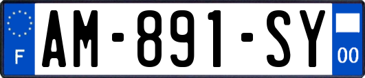 AM-891-SY