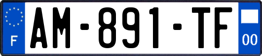 AM-891-TF