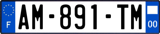 AM-891-TM