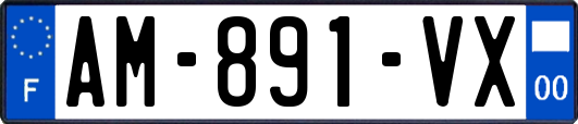AM-891-VX