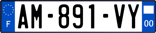 AM-891-VY