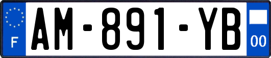 AM-891-YB