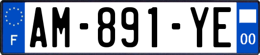 AM-891-YE