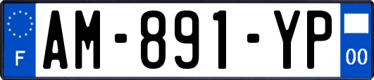 AM-891-YP
