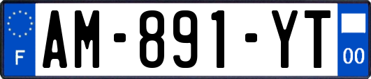 AM-891-YT