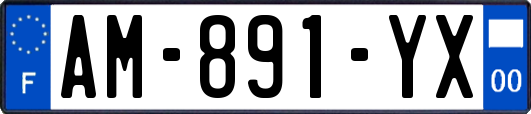 AM-891-YX