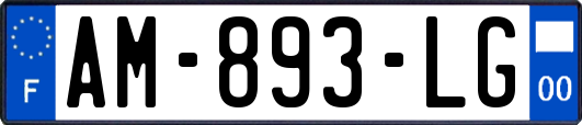 AM-893-LG