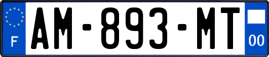 AM-893-MT