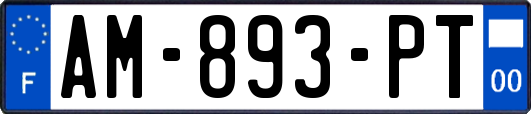 AM-893-PT