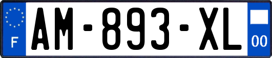 AM-893-XL