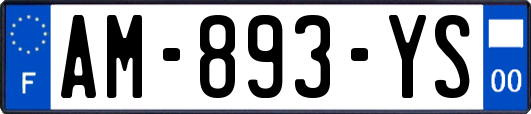 AM-893-YS