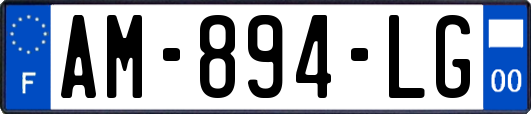 AM-894-LG