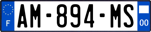 AM-894-MS