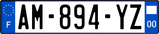 AM-894-YZ